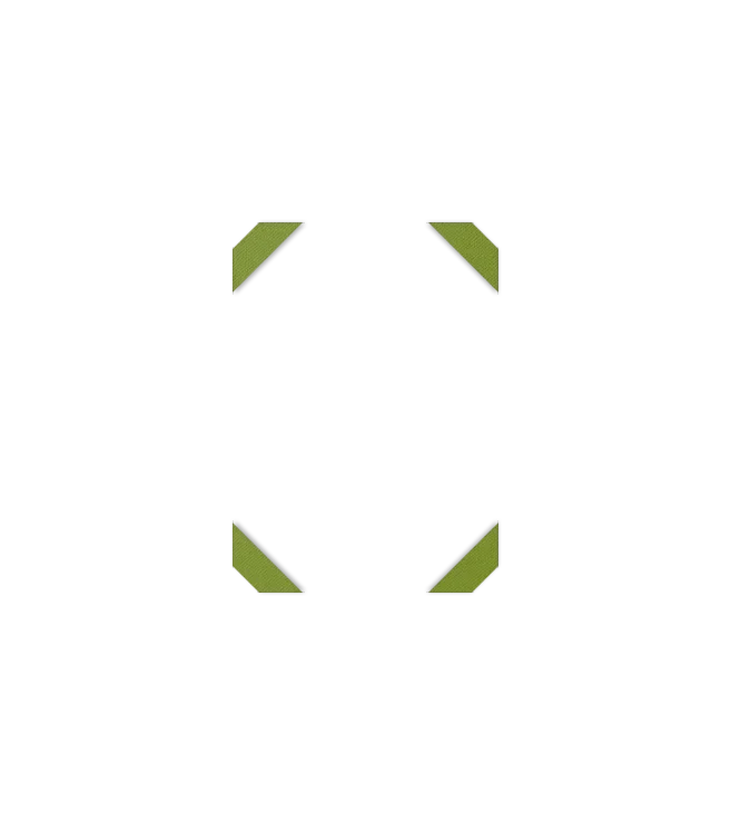 Image de l'option Configurateur de produits visuels
